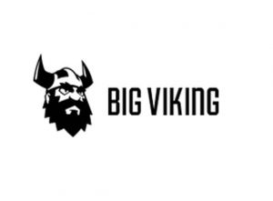 bigviking